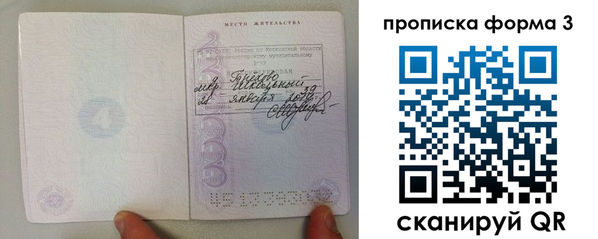 прописка гарантия в Медногорске